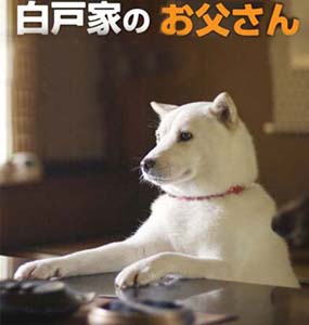 白戸家のお父さんsd.jpg