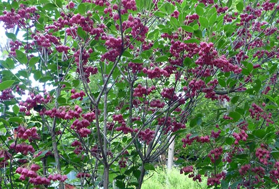 2011.6.3^526.jpg